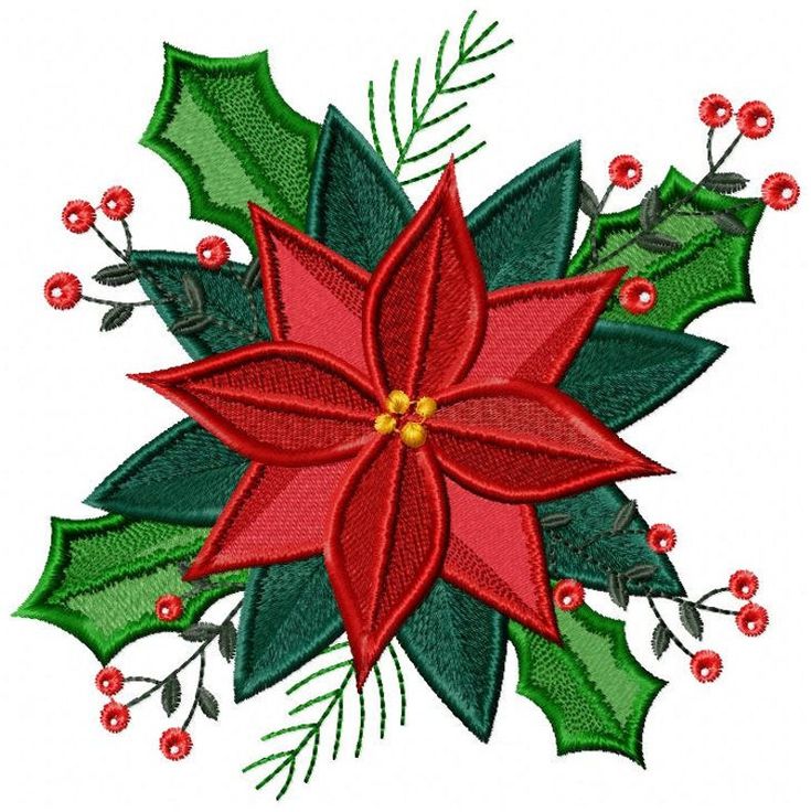 Christmas Poinsettia Embroidery Designs Xmas Flower Etsy