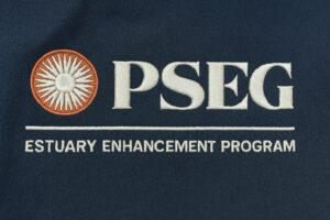 Embroidery digitizing pseg