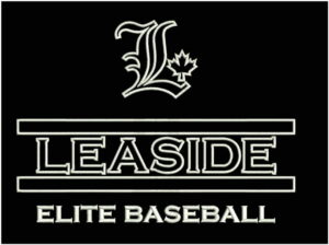 Applique embroidery design Leaside ready 1 Applique embroidery design LEASIDE