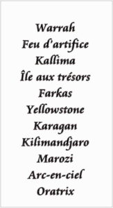 Sure names embroidery designs